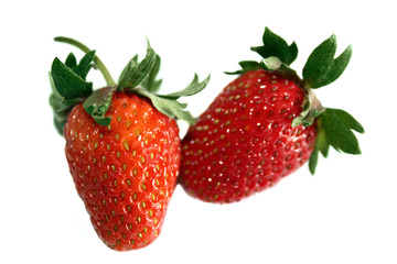 Strawberry Fragaria × ananassa  on white
