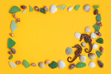 Frame from sea shells