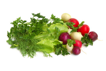 Fresh tasty greens and  radish