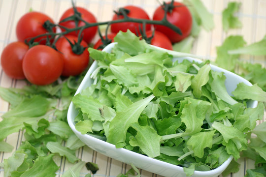 Pflücksalat Bilder: A Fun and Educational Drawing Adventure for Kids!