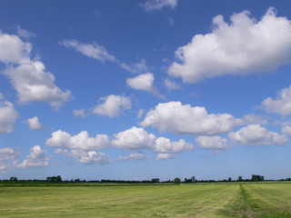 Wolken
