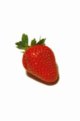 fragola matura