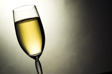 Wine Glass