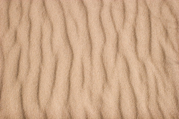 Sand texture with ripples