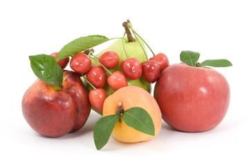 fruit