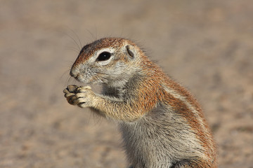 Eating