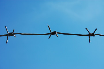 Barbed Wire