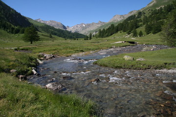 Fototapeta na wymiar Ruisseau de montagne