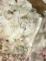 vintage aged background old paper