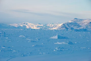 Deurstickers Ice field in Greenland © Anouk Stricher