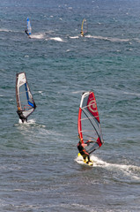 Windsurfers sufing on the sea of beach Pozo Izquierdo. Gran Cana