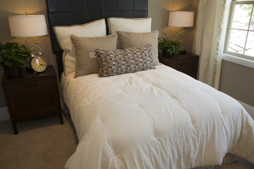Luxury bedroom with contemporary decor.