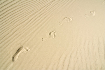 the footprint in sand