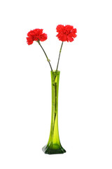 Two red carnations in green vase isolated on white