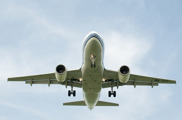 Fototapeta na wymiar landing airliner
