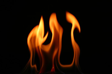 Fototapeta premium fire tongue on black background