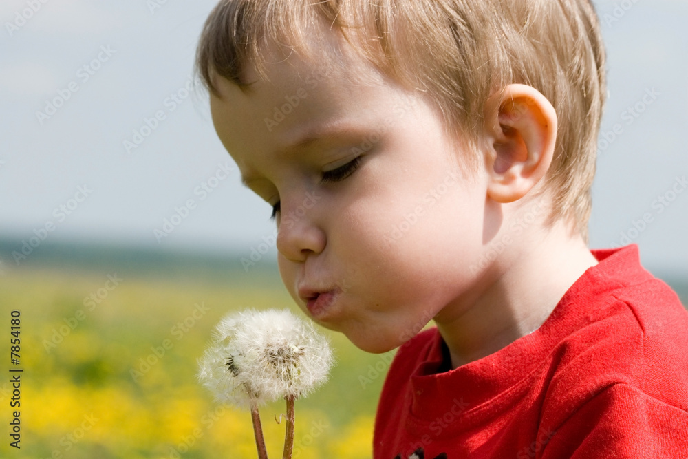 Wall mural Young boy blowing seeds of a dandelion flower