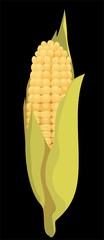 corn