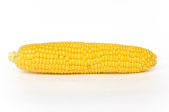 corn isolated on white