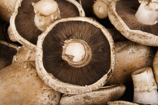 Portobello Mushrooms