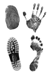 Printout of body parts and shoe