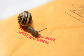 Snail mail concept
