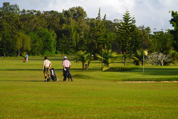 Obraz premium Glofers walking withtheir bags