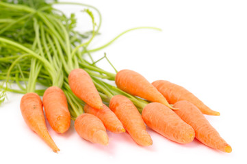 bunch of carrot isolated on white background