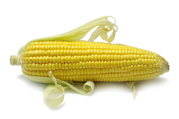 Corn on the cob