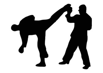 karate fight
