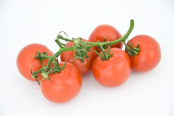 Tomato