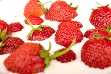 strawberry in cream
