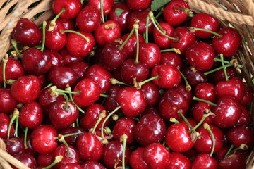 Cherries closeup