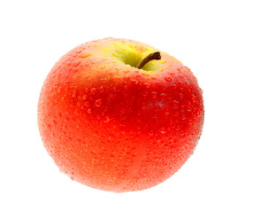 Fresh Wet Apple
