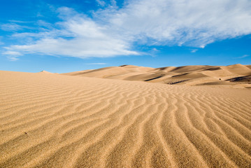 Sand Dune