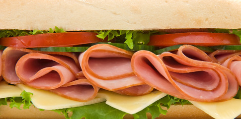 Close up of a ham and cheese sandwich