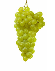 white grapes