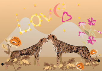 couple of leopards