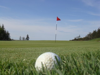 Obraz premium Golf ball waiting to be putted