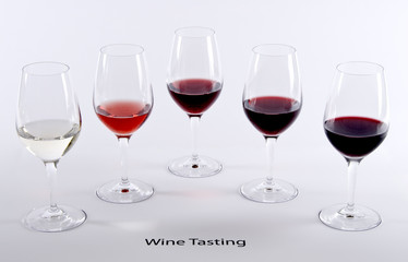 Wine Tasting