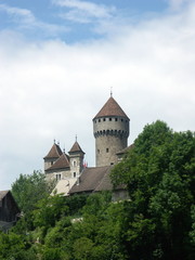Fototapeta na wymiar château médiéval de Montrottier