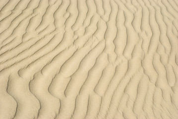 SAND BACKGROUND TEXTURE