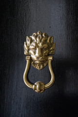 Brass Door Knocker