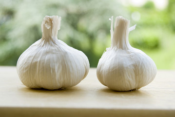 Two garlics