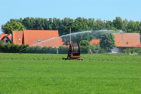arrosage des champs