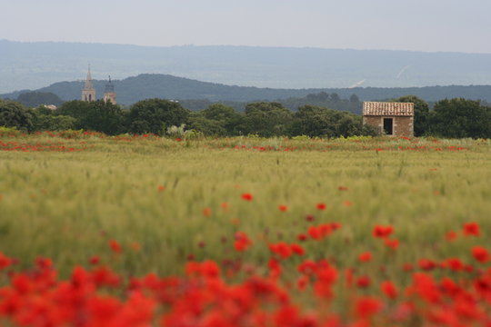 le petit cabanon