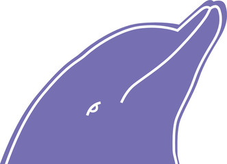 dolphin