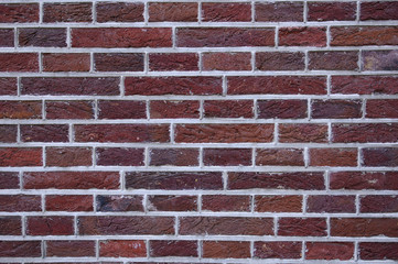 Fototapeta premium Brick texture