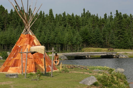 tippi au qu&eacute;bec