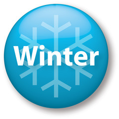 Winter Icon